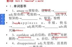 策略翻译英文