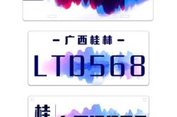 新能源汽车的车牌