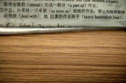 这个英语翻译是什么Thearecows.
