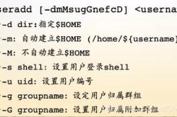 编程用户名和密码存放在哪里