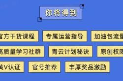 编程作品创新点