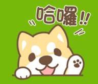 他怕狗翻译英语怎么说