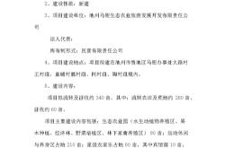 新能源项目计划书范文案例