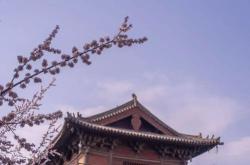 春居古诗文翻译