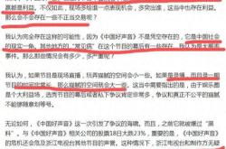 间谍翻译