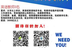 三亚俄语翻译招聘信息