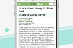 西藏翻译资格证领取