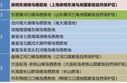 关我鸟事用英语怎么说