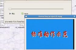 mplayer使用方法