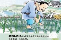 拔苗助长翻译及注释