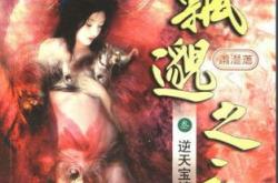 飘渺之旅谁写的