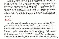 最新英语四级翻译