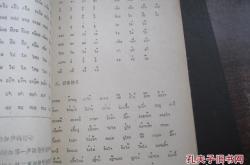 老挝翻译中文拍照