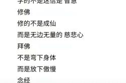 放下寄存翻译英语