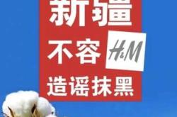 棉花的翻译