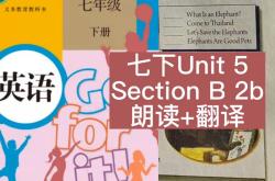 国家自主贡献制度