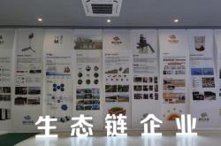 浙江新能源股份