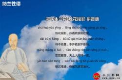 专业翻译成英文
