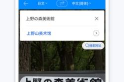 鹦鹉语音翻译器