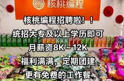 航空编程语言