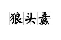 狼翻译文言文