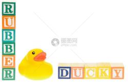 鸭子翻译成英文怎么写
