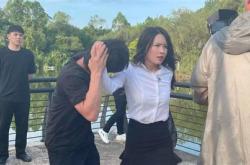 牧竖捕狼的狼有什么特点