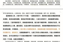 乱亦进