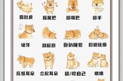 如何让母狗不下崽