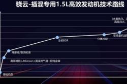 大搜车上市