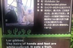 咱妈在哪翻译成英语