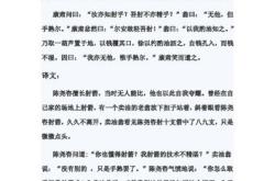 仅得乎中的意思是什么