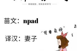 苗族文字翻译成汉字