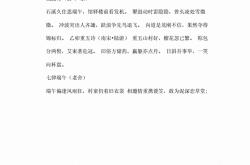 七律端午的诗意