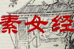 中国女翻译火了