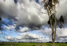 探索味蕾之旅，美食推荐图片及理由