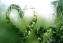 探索味蕾之旅，美食推荐图片及理由