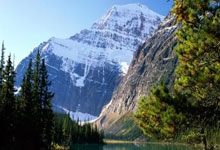 探索味蕾之旅，美食推荐图片及理由