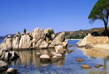 探索味蕾之旅，美食推荐图片及理由