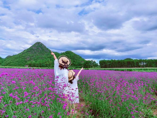 探索云南之美：七月旅游指南