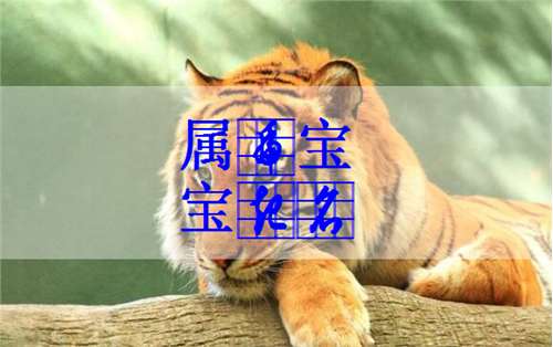 2022年属虎男孩几月出生最好