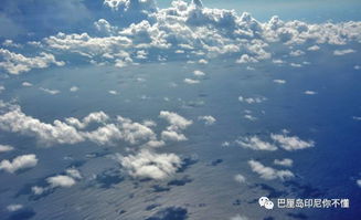 美妙 看看这些姑娘们如何在印尼跨年