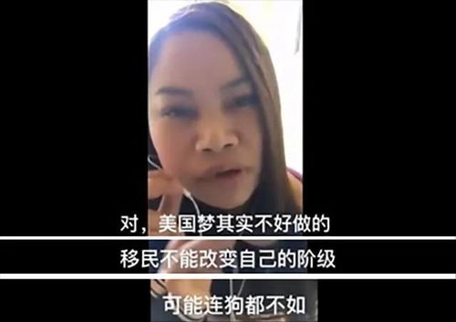 凤姐赴美国电视台面试 被称赞有独立思想