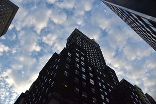 山东发现炭疽病例，迅速应对与防控措施