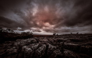 神金系电影从21世纪安全撤离，一场跨越时空的奇幻冒险