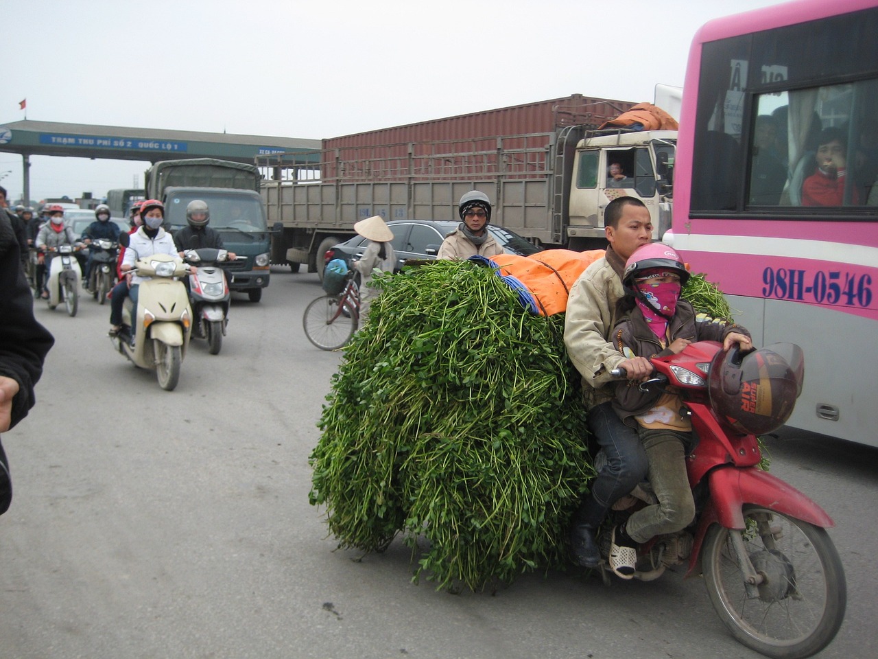 路上晒背遭遇汽车辗轧，一次意外的警示