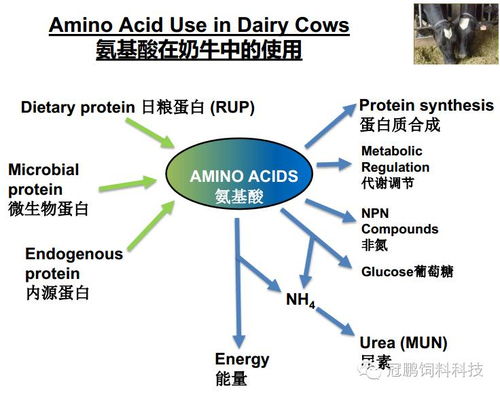 零一万物祁瑞峰：的大模型应用中国比美国要领先