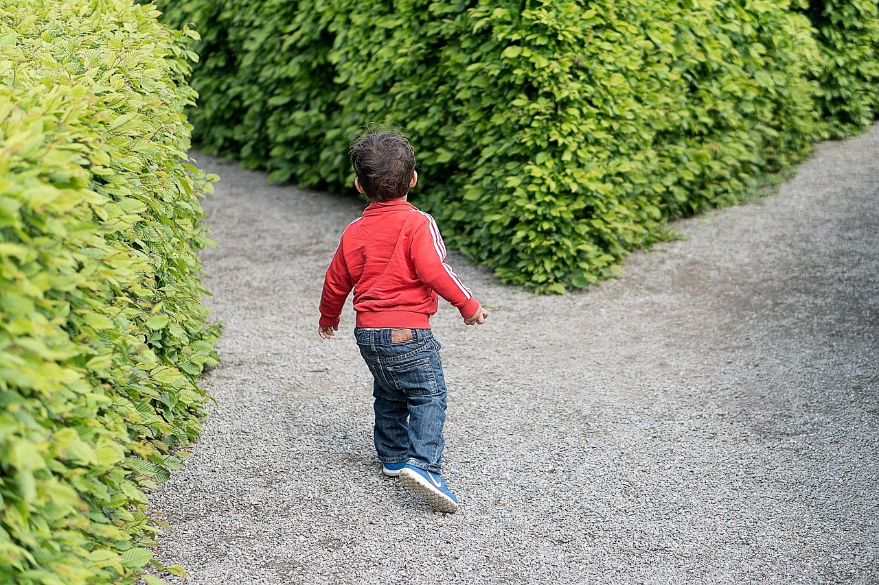 男孩遭遇放狗扑咬事件，警醒社会的必要警钟