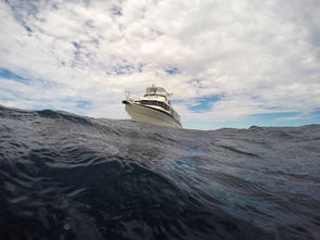 古韵回响·民间英雄河南坠子曲中寻英豪——呼延庆打擂的传奇故事