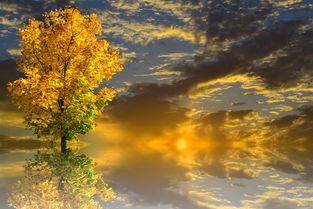 揭秘泸沽湖，一场心与自然的绝美邂逅——深度游攻略